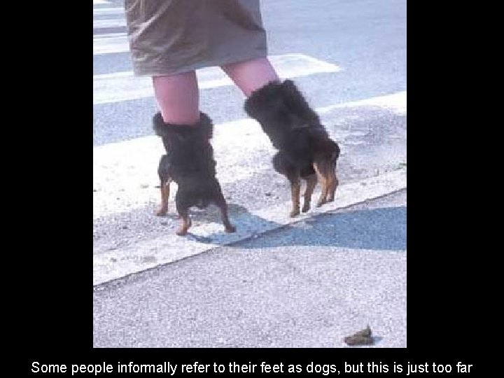 Some people informally refer to their feet as dogs, but this is just too