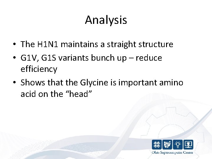 Analysis • The H 1 N 1 maintains a straight structure • G 1