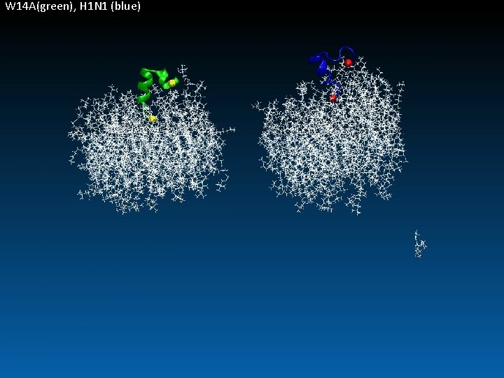 W 14 A(green), H 1 N 1 (blue) 