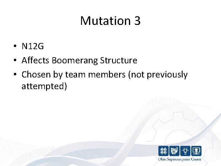 Mutation 3 • N 12 G • Affects Boomerang Structure • Chosen by team