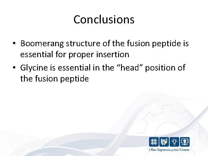 Conclusions • Boomerang structure of the fusion peptide is essential for proper insertion •