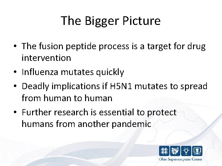 The Bigger Picture • The fusion peptide process is a target for drug intervention