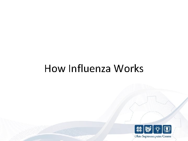 How Influenza Works 