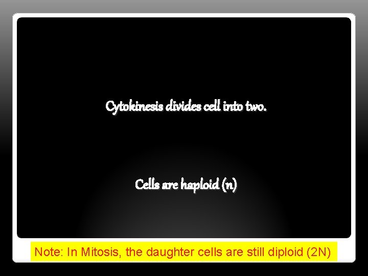 Cytokinesis divides cell into two. Cells are haploid (n) Note: In Mitosis, the daughter