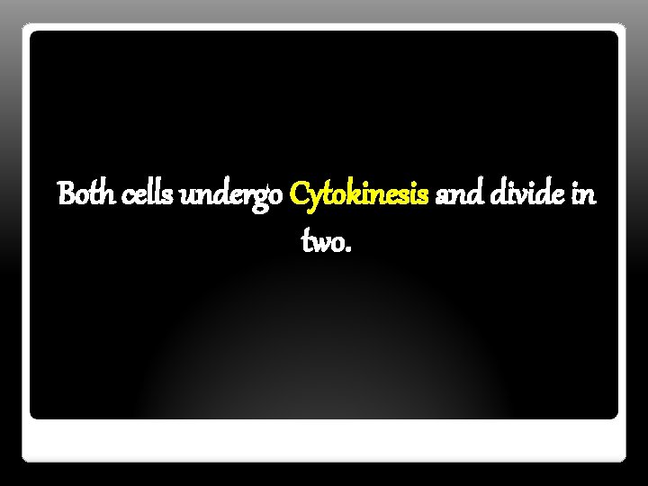 Both cells undergo Cytokinesis and divide in two. 