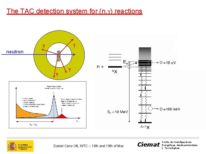 The TAC detection system for (n, g) reactions g g neutron g g Daniel