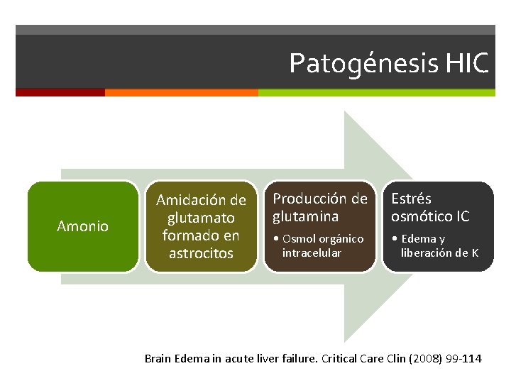 Patogénesis HIC Amonio Amidación de glutamato formado en astrocitos Producción de glutamina Estrés osmótico