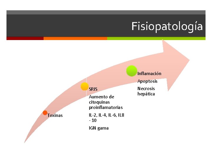 Fisiopatología Toxinas SRIS Aumento de citoquinas proinflamatorias IL-2, IL-4, IL-6, IL 8 - 10