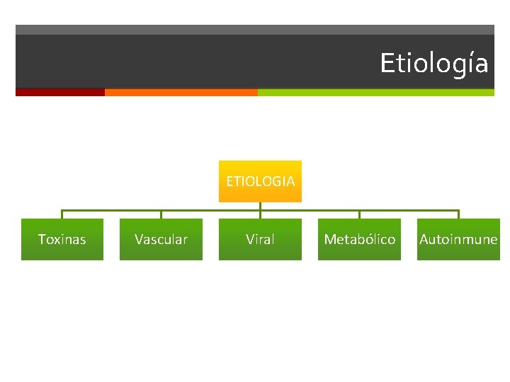Etiología ETIOLOGIA Toxinas Vascular Viral Metabólico Autoinmune 