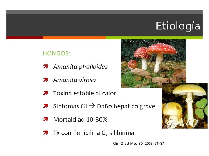 Etiología HONGOS: Amanita phalloides Amanita virosa Toxina estable al calor Síntomas GI Daño hepático