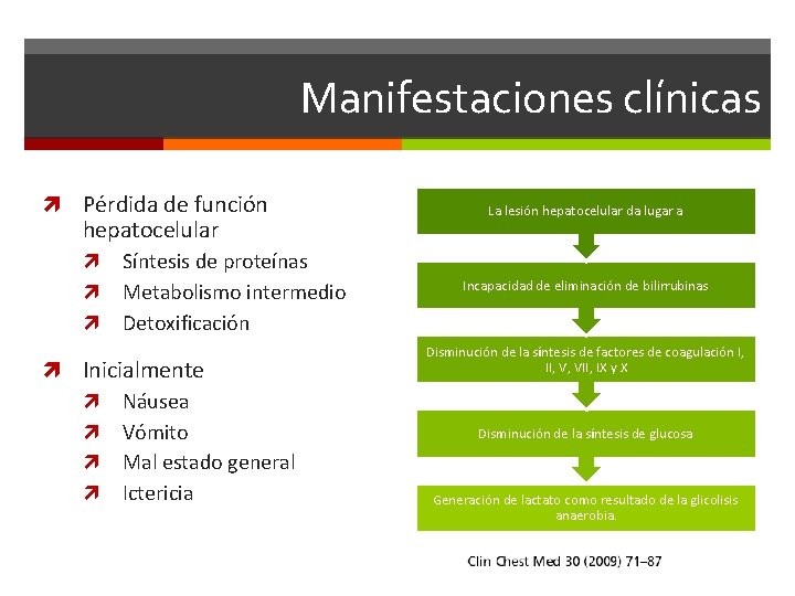 Manifestaciones clínicas Pérdida de función hepatocelular Síntesis de proteínas Metabolismo intermedio Detoxificación Inicialmente Náusea