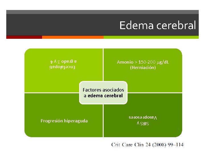 Edema cerebral Amonio > 150 -200 mg/d. L (Herniación) Encefalopatí a grado 3 y