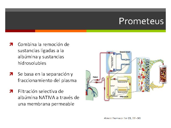 Prometeus Combina la remoción de sustancias ligadas a la albúmina y sustancias hidrosolubles Se