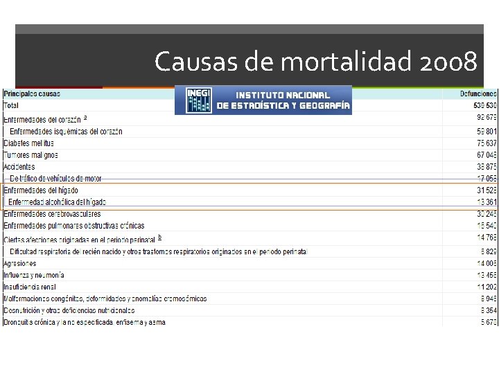 Causas de mortalidad 2008 