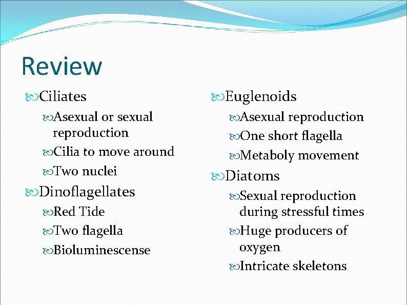 Review Ciliates Asexual or sexual reproduction Cilia to move around Two nuclei Dinoflagellates Red