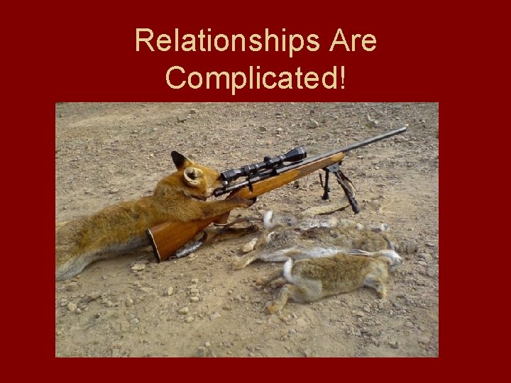 Relationships Are Complicated! 