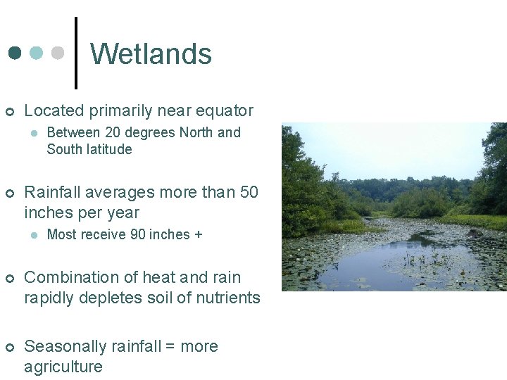 Wetlands ¢ Located primarily near equator l ¢ Between 20 degrees North and South Wetlands ¢ Located primarily near equator l ¢ Between 20 degrees North and South
