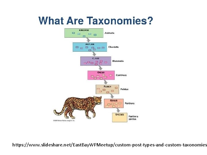 https: //www. slideshare. net/East. Bay. WPMeetup/custom-post-types-and-custom-taxonomies https: //www. slideshare. net/East. Bay. WPMeetup/custom-post-types-and-custom-taxonomies