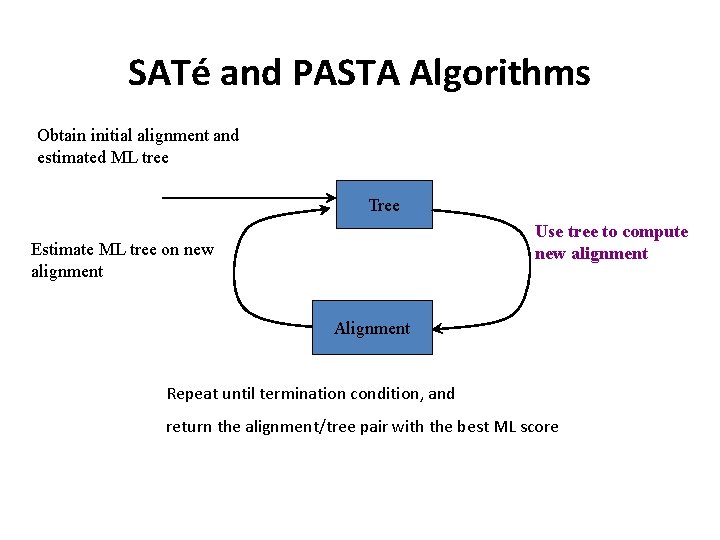 SATé and PASTA Algorithms Obtain initial alignment and estimated ML tree Tree Use tree SATé and PASTA Algorithms Obtain initial alignment and estimated ML tree Tree Use tree