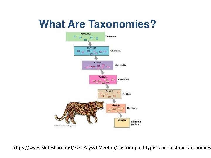 https: //www. slideshare. net/East. Bay. WPMeetup/custom-post-types-and-custom-taxonomies https: //www. slideshare. net/East. Bay. WPMeetup/custom-post-types-and-custom-taxonomies