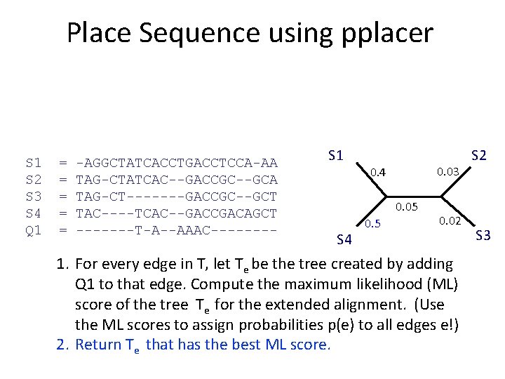 Place Sequence using pplacer S 1 S 2 S 3 S 4 Q 1 Place Sequence using pplacer S 1 S 2 S 3 S 4 Q 1