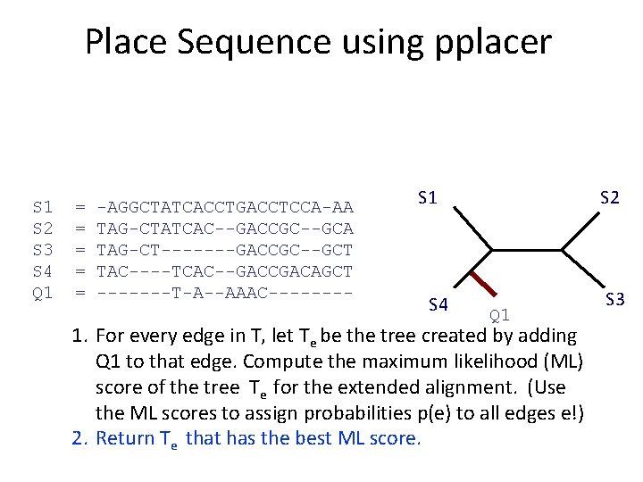 Place Sequence using pplacer S 1 S 2 S 3 S 4 Q 1