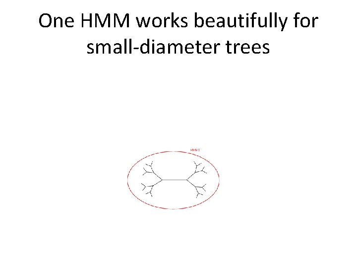 One HMM works beautifully for small-diameter trees 