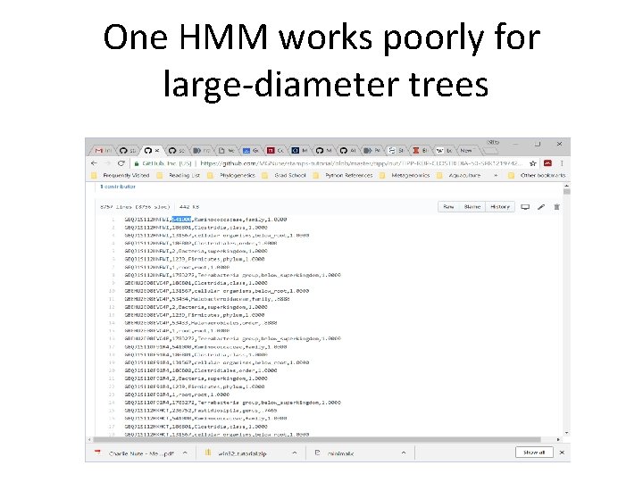 One HMM works poorly for large-diameter trees 