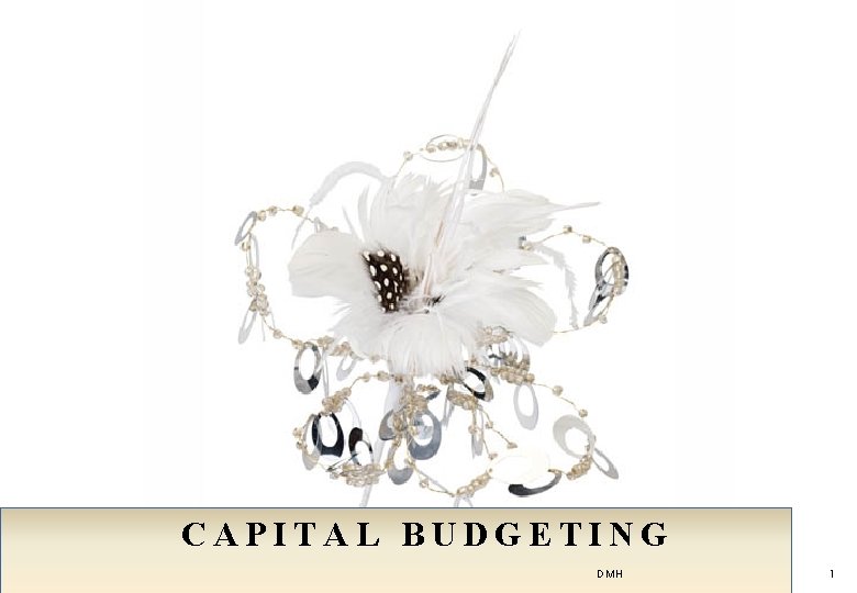 CAPITAL BUDGETING DMH 1 