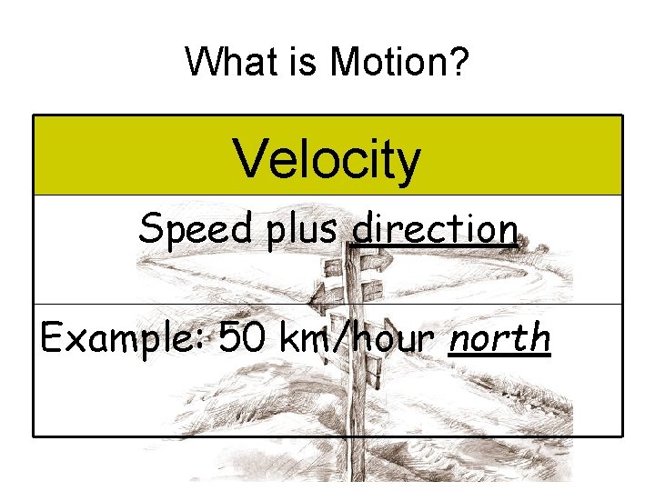What is Motion? Velocity Speed plus direction Example: 50 km/hour north 