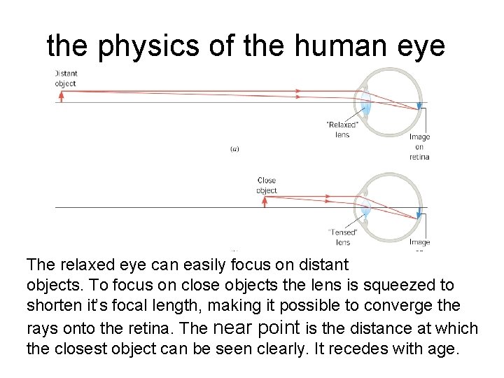 the physics of the human eye The relaxed eye can easily focus on distant