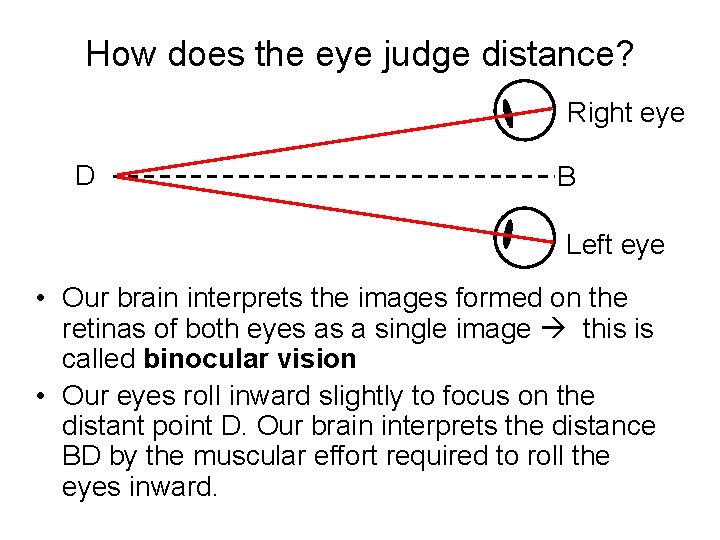 How does the eye judge distance? Right eye D B Left eye • Our