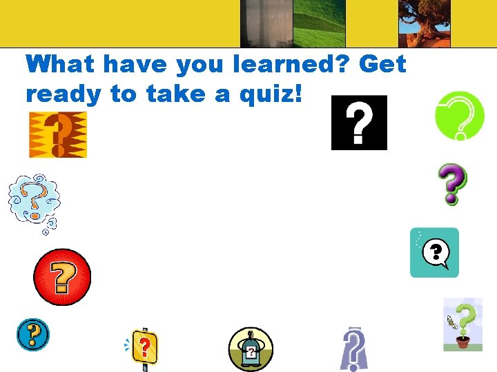 What have you learned? Get ready to take a quiz! 