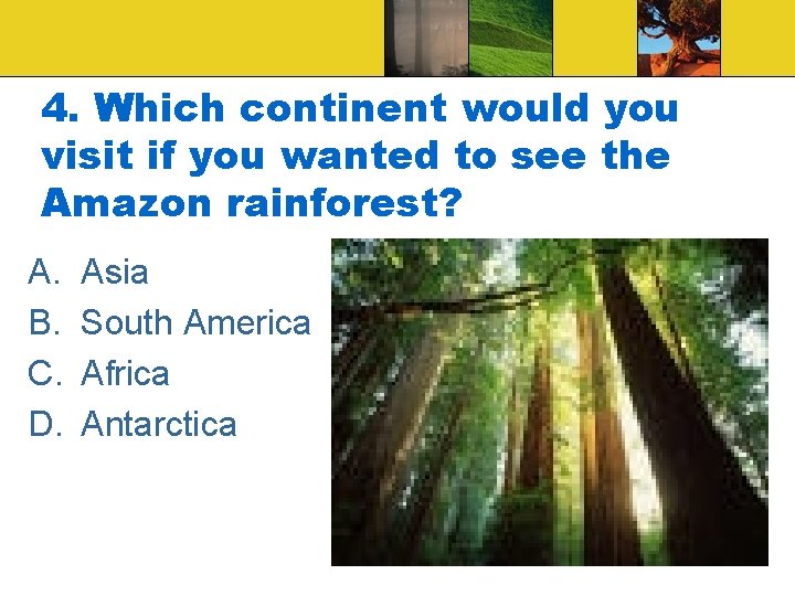 4. Which continent would you visit if you wanted to see the Amazon rainforest?