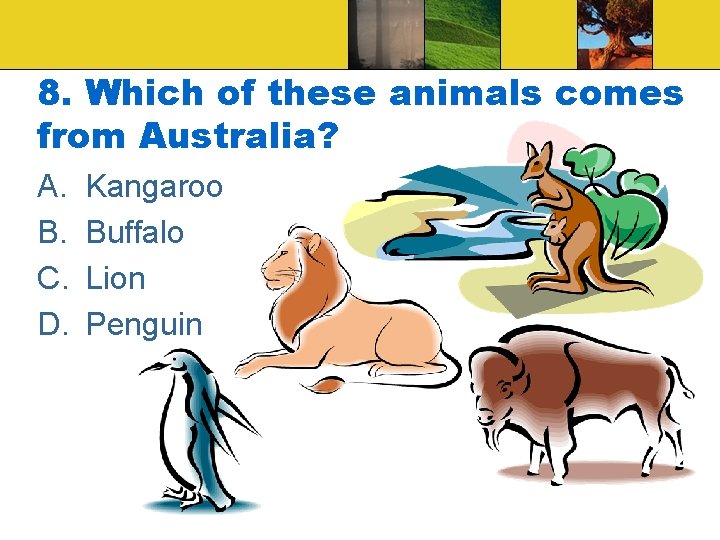 8. Which of these animals comes from Australia? A. B. C. D. Kangaroo Buffalo