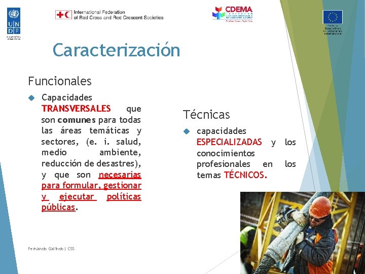 Caracterización Funcionales Capacidades TRANSVERSALES que son comunes para todas las áreas temáticas y sectores,