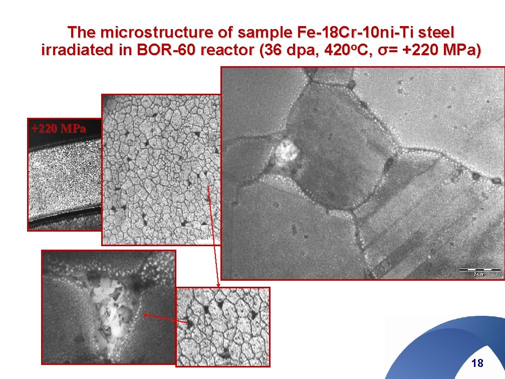 The microstructure of sample Fe-18 Cr-10 ni-Ti steel irradiated in BOR-60 reactor (36 dpa,