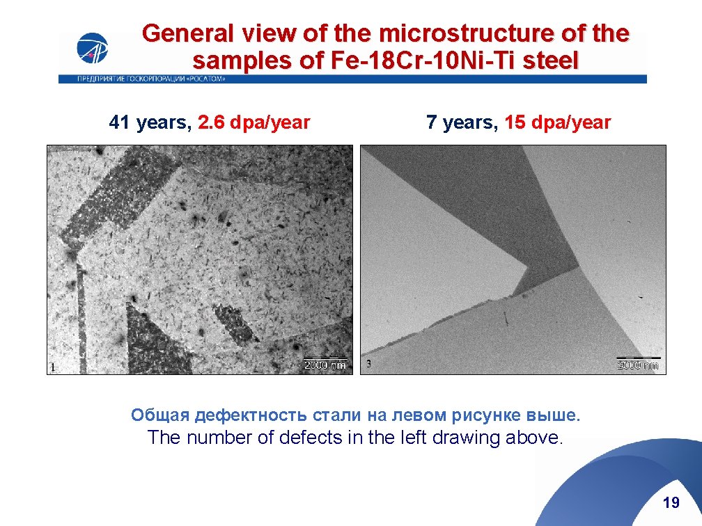 General view of the microstructure of the samples of Fe-18 Cr-10 Ni-Ti steel 41