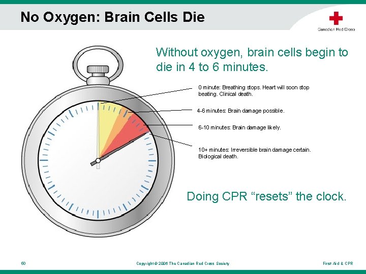 No Oxygen: Brain Cells Die Without oxygen, brain cells begin to die in 4 No Oxygen: Brain Cells Die Without oxygen, brain cells begin to die in 4