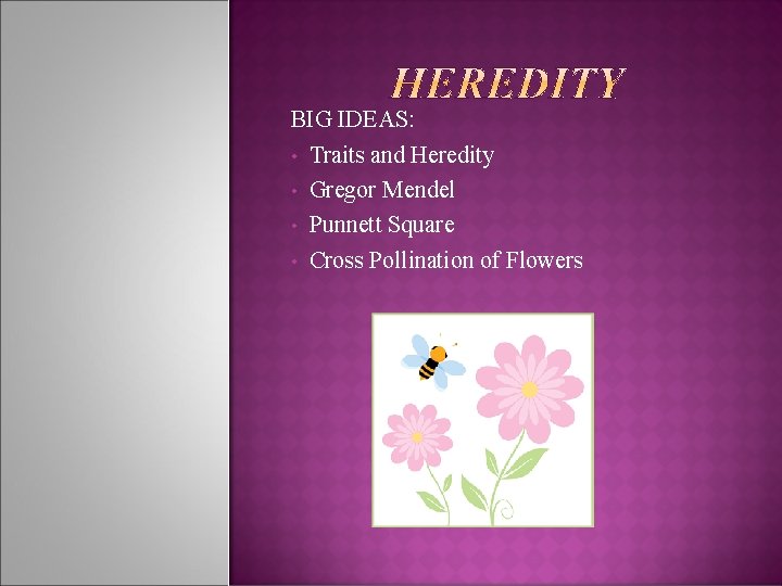 BIG IDEAS: • Traits and Heredity • Gregor Mendel • Punnett Square • Cross