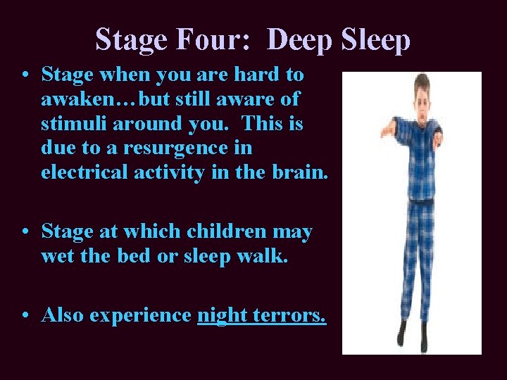 Stage Four: Deep Sleep • Stage when you are hard to awaken…but still aware