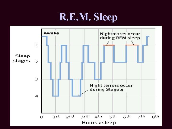 R. E. M. Sleep 