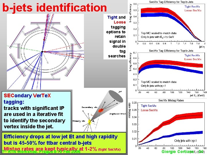 b-jets identification Tight and Loose tagging options to retain signal in double tag searches b-jets identification Tight and Loose tagging options to retain signal in double tag searches