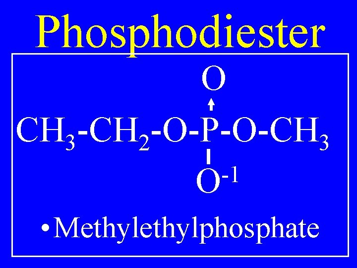 Phosphodiester O CH 3 -CH 2 -O-P-O-CH 3 -1 O • Methylphosphate 