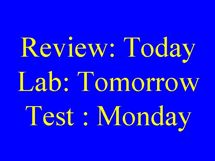 Review: Today Lab: Tomorrow Test : Monday 