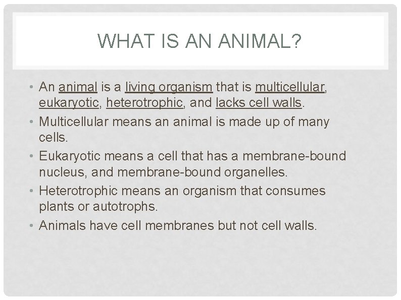 WHAT IS AN ANIMAL? • An animal is a living organism that is multicellular,