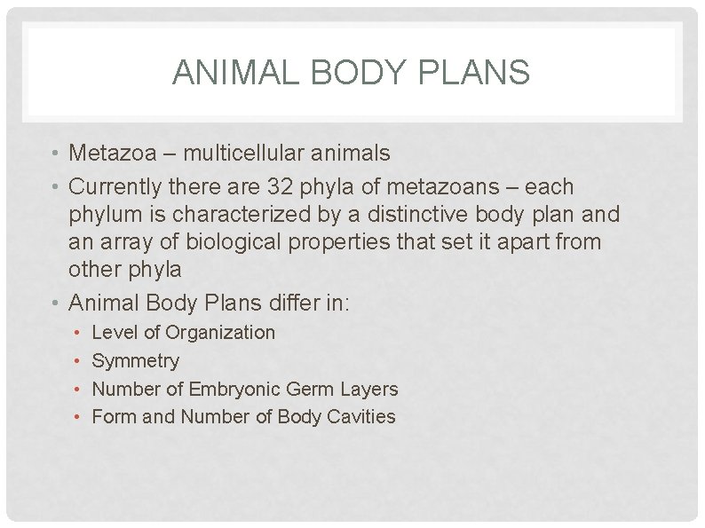 ANIMAL BODY PLANS • Metazoa – multicellular animals • Currently there are 32 phyla