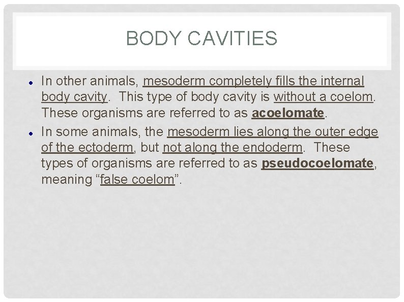 BODY CAVITIES In other animals, mesoderm completely fills the internal body cavity. This type