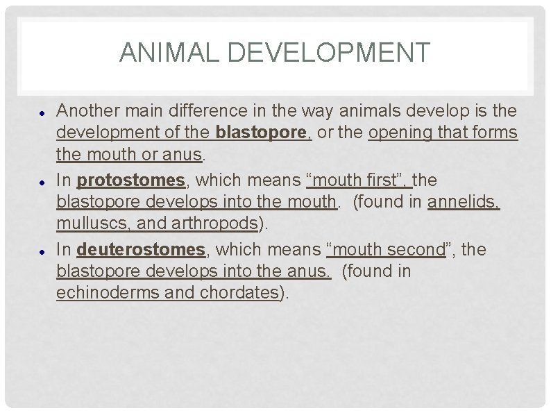 ANIMAL DEVELOPMENT Another main difference in the way animals develop is the development of