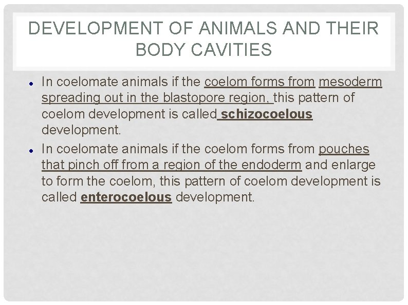 DEVELOPMENT OF ANIMALS AND THEIR BODY CAVITIES In coelomate animals if the coelom forms